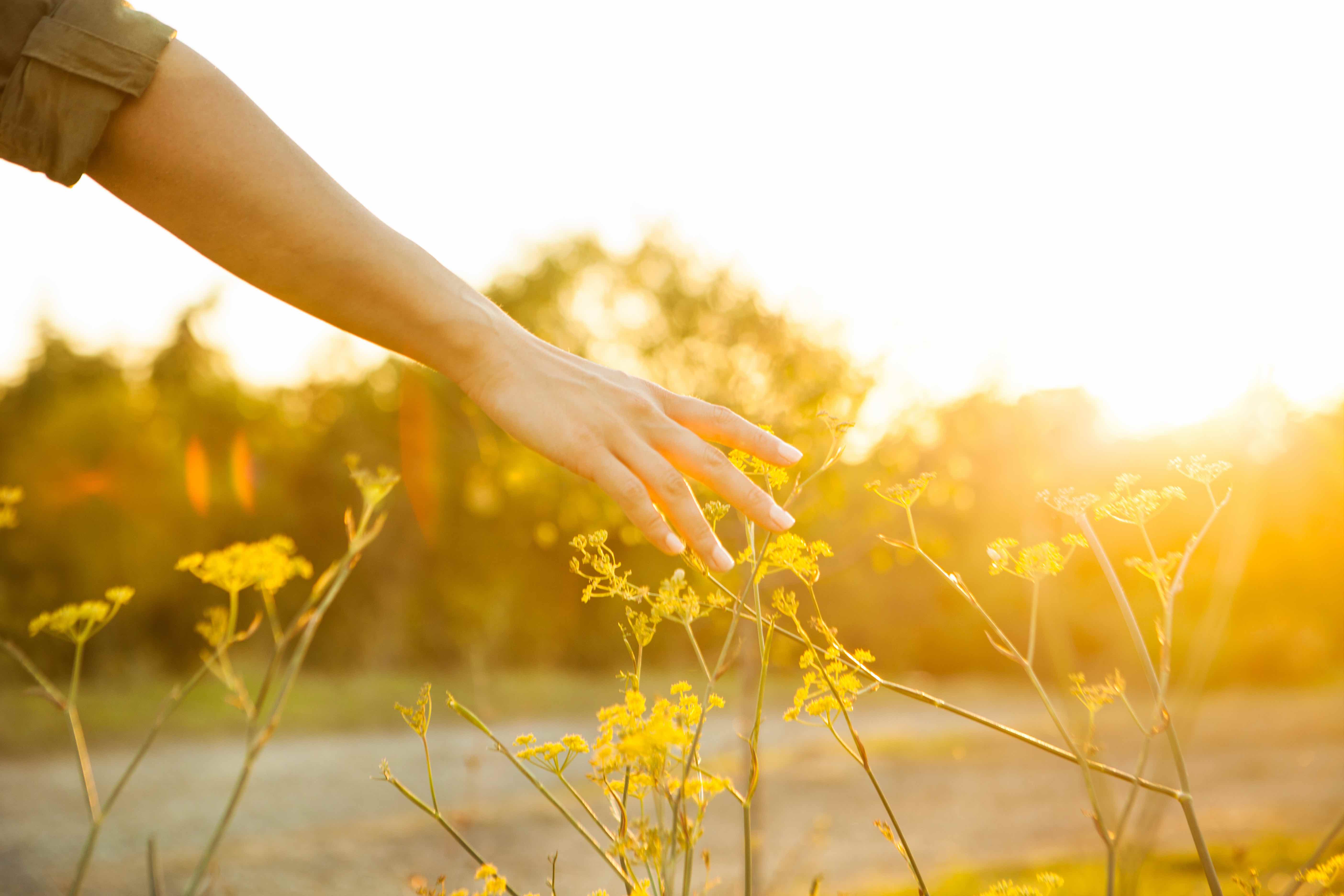 Engagement pour la nature