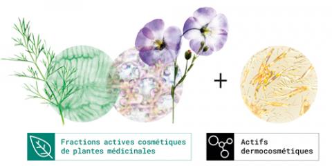 efficacite plantes